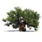 Antico albero di ficus artificiale