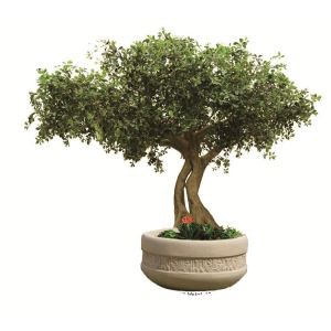 Faux Black Olive Tree