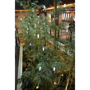 Albero di bambù eco-alta