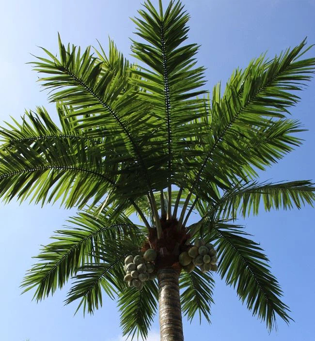 Aritificial Coconut Tree